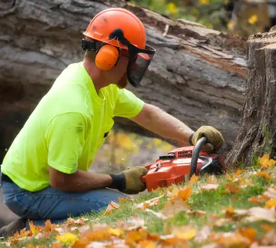 tree services Blue Springs